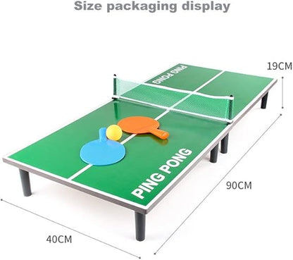 MINI TABLA PORTABLE DE PING PONG